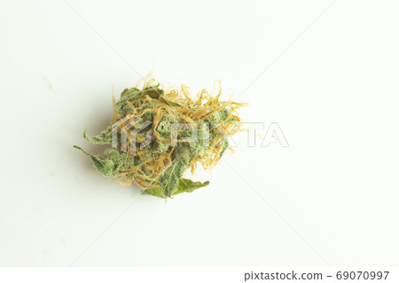 Cannabis bud isolated on white background Cannabis bud isolated on white background 69070997