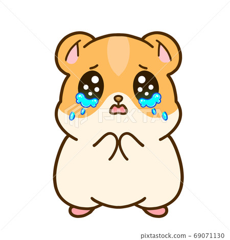 sad hamster