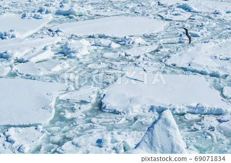 Drift ice (Hokkaido) Drift ice (Hokkaido) 69071834