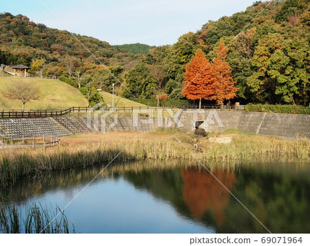 Autumn leaves of Rakusho, Yokooike Park, Aioi City Rakusho Numasugi, Satoyama autumn leaves Autumn leaves of Rakusho, Yokooike Park, Aioi City Rakusho Numasugi, Satoyama autumn leaves 69071964