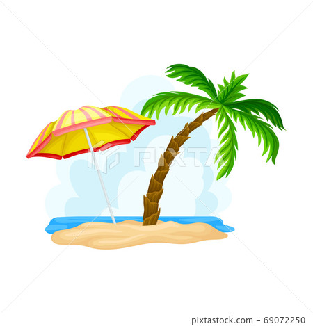 Palm Trees Growing on California Sea Shore and Beach Umbrella Vector Illustration Palm Trees Growing on California Sea Shore and Beach Umbrella Vector Illustration 69072250