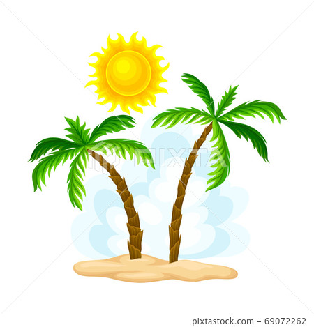 Palm Trees Growing on California Sea Shore Vector Illustration Palm Trees Growing on California Sea Shore Vector Illustration 69072262
