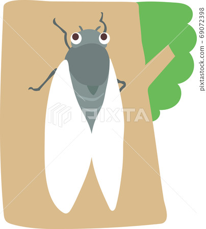 Cicadas Cicadas 69072398
