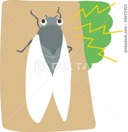 Crowing cicada 69072403