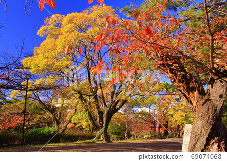 Autumn leaves at Shukugawa Park (Nishinomiya City, Hyogo Prefecture) 69074068