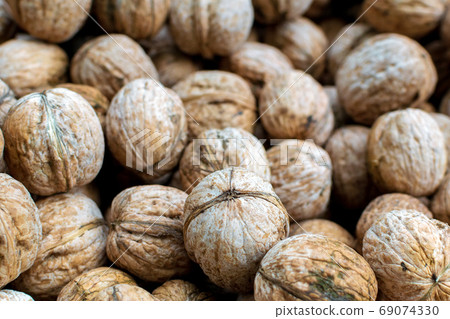 walnuts nuts background, texture dried in the sun. vegetarian food, harvest walnuts nuts background, texture dried in the sun. vegetarian food, harvest 69074330