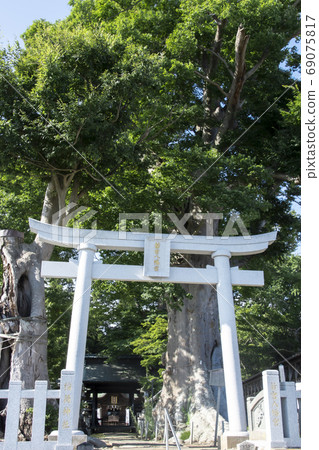 Hitachi-Ota City Wakamiya Hachimangu 69075817