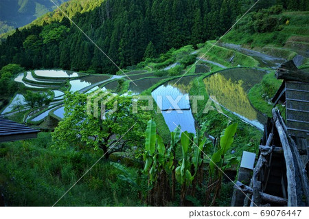100 selections of rice terraces in Tokushima Prefecture, rice terraces in Kashihara 69076447