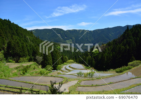 100 selections of rice terraces in Tokushima Prefecture Spring rice terraces in Kashihara 69076470