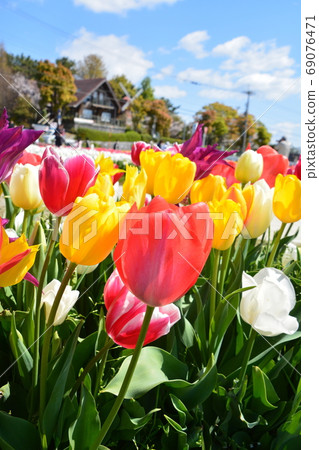 豎管公園 69076471