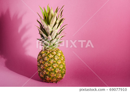 Fresh sweet pineapple on pastel pink purple background Fresh sweet pineapple on pastel pink purple background 69077910