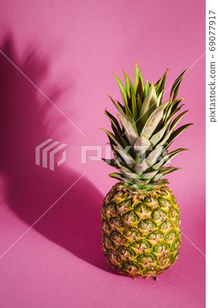 Fresh sweet pineapple on pink purple background with hard shadow Fresh sweet pineapple on pink purple background with hard shadow 69077917