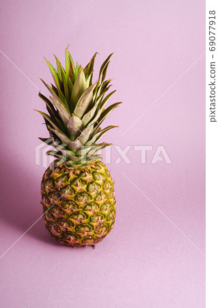 Fresh sweet pineapple on pastel blue purple background Fresh sweet pineapple on pastel blue purple background 69077918