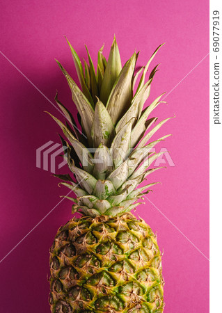 Fresh sweet pineapple on pink purple background Fresh sweet pineapple on pink purple background 69077919