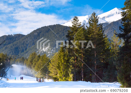 Bansko, Bulgaria pine trees, white snow peak Bansko, Bulgaria pine trees, white snow peak 69079208