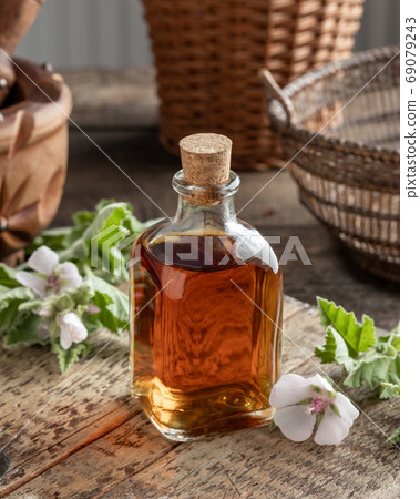 A bottle of marshmallow root tincture with fresh Althaea officin 69079243