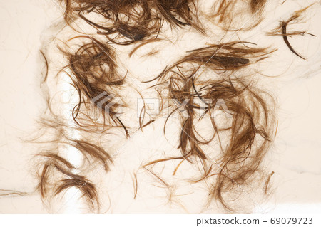 Brown hair lies on white floor closeup Brown hair lies on white floor closeup 69079723