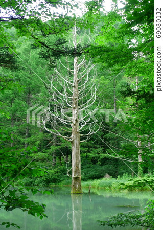 Havens Sonohara Iwananomori Promenade 69080132