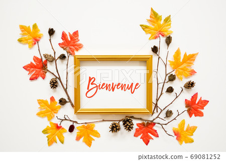 Colorful Autumn Leaf Decoration, Frame, Text 69081252