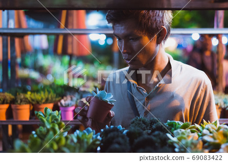 Young Asian man looks at a potted houseplant in his hands surrounded by shelves with indoor succulent plants at a night market - Chatuchak Plant Market, Bangkok, Thailand 69083422