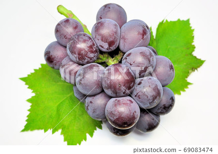 Freshly picked Fuji Minoru Freshly picked Fuji Minoru 69083474