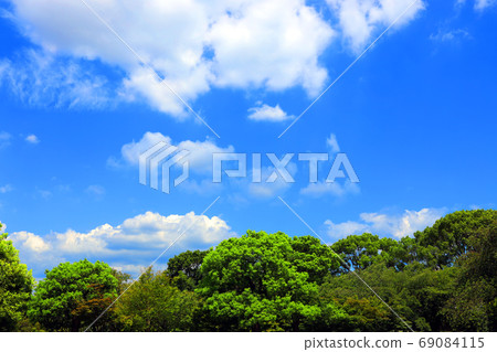 Scenery of Toji Temple in Minami-ku, Kyoto, Kyoto, World Heritage, Temple, Townscape [August] 69084115