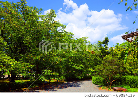 Scenery of Toji Temple in Minami-ku, Kyoto, Kyoto, World Heritage, Temple, Townscape [August] 69084139