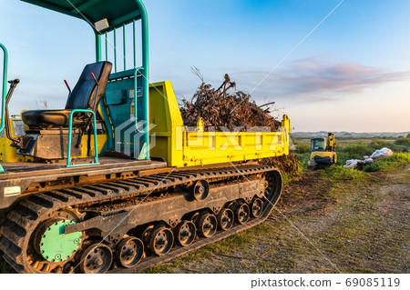履帶車輛和死樹堆積在野外 69085119