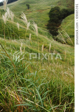 Akine Peak Plateau的Susuki 69085391