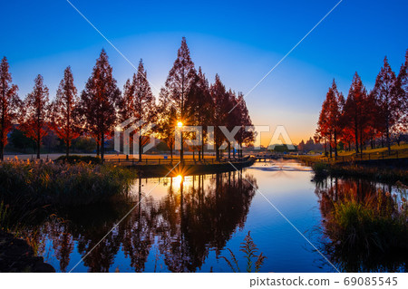 烏奇奇河防洪綠化夜景 烏奇奇河防洪綠化夜景 69085545