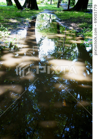 Greenery reflected in a puddle after a summer rain park-zenfukujigawa greenery, Suginami Ward, Tokyo Greenery reflected in a puddle after a summer rain park-zenfukujigawa greenery, Suginami Ward, Tokyo 69085779
