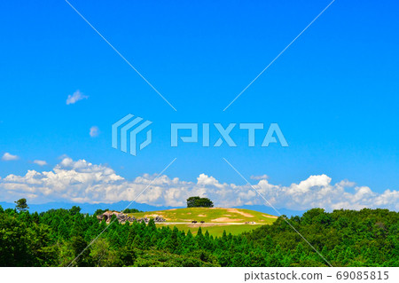 Safari landscape 69085815