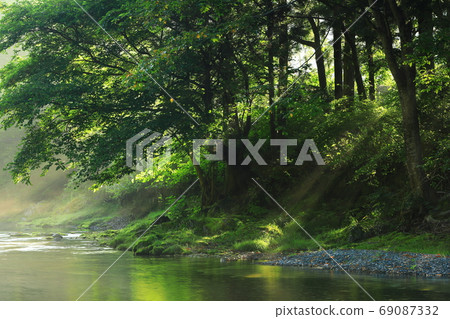 岩手縣墨田區Summer Stream 岩手縣墨田區Summer Stream 69087332