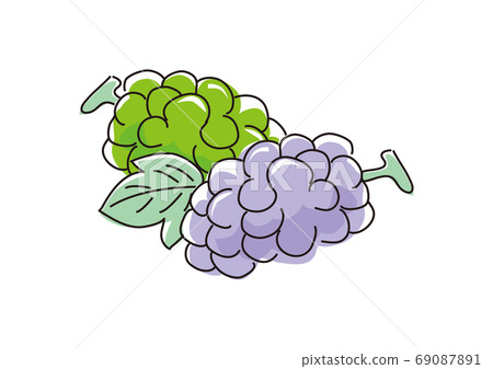 Image of two grapes and leaves Image of two grapes and leaves 69087891