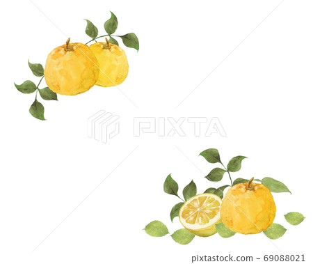 Watercolor yuzu frame Watercolor yuzu frame 69088021