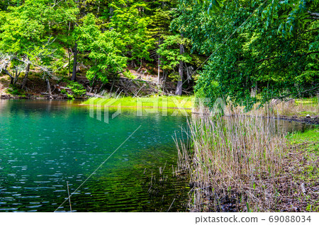 北海道阿修羅町Onneto（翠綠的湖面和原始森林） 69088034
