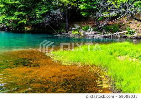 Onneto, Ashoro-cho, Hokkaido (emerald green lake surface and primeval forest) 69088035