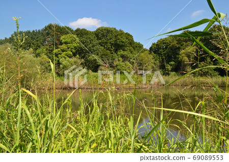 Scenery from the nature observation window Toneri Park, Adachi-ku, Tokyo 69089553