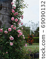 Roses 69090132