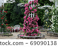 Roses 69090138