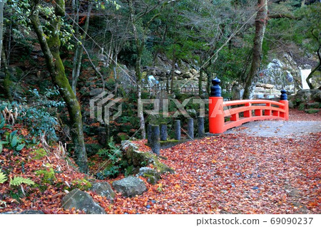 Gifu Park in autumn, 39 (Nagara, Gifu City) Gifu Park in autumn, 39 (Nagara, Gifu City) 69090237