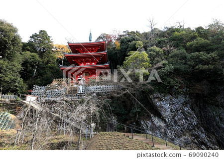 Gifu Park 42 in autumn (Nagara, Gifu City) 69090240