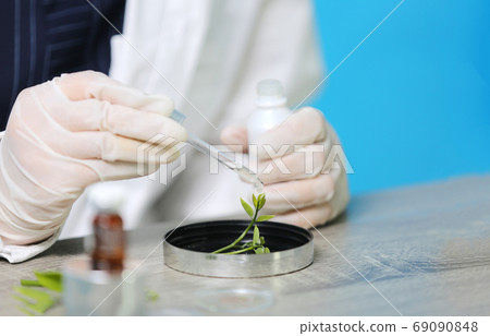 Concept of the scientist,doctor, make alternative herb medicine with herbal the organic 69090848