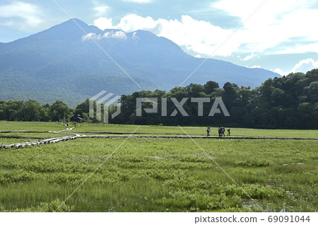 Wetland landscape in early summer 69091044