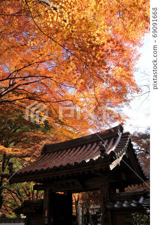 宇多山山大德寺三門 宇多山山大德寺三門 69091668