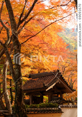 宇多山山大德寺三門 宇多山山大德寺三門 69091670