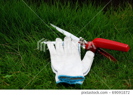 草坪剪刀和工作手套 69091872