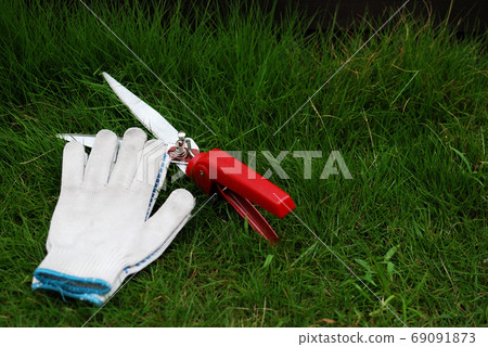 草坪剪刀和工作手套 69091873