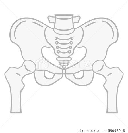 骨盆圖 69092048
