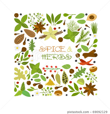 Spice shop, herbs and spices collection for your design 69092129